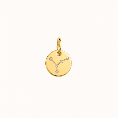 ZODIAC STONE COIN BERLOCK