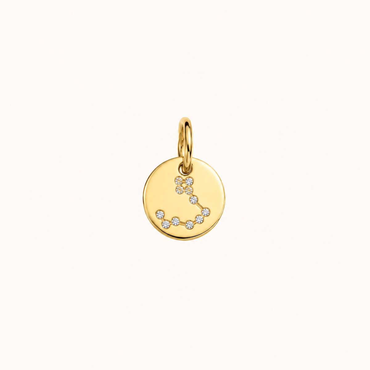 ZODIAC STONE COIN BERLOCK