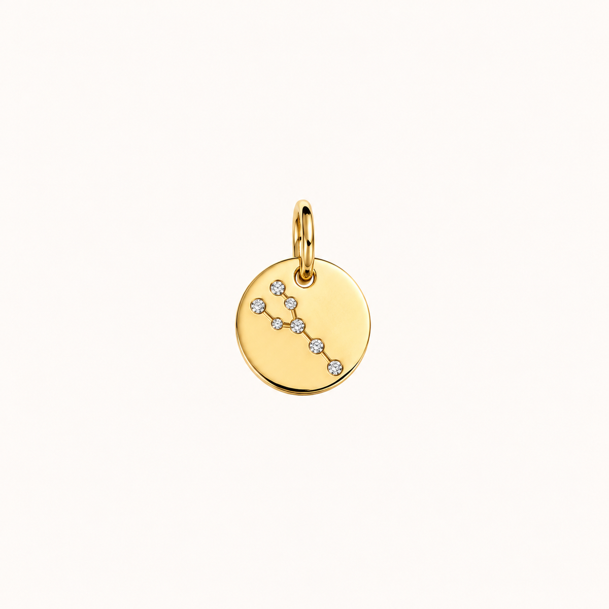 ZODIAC STONE COIN BERLOCK