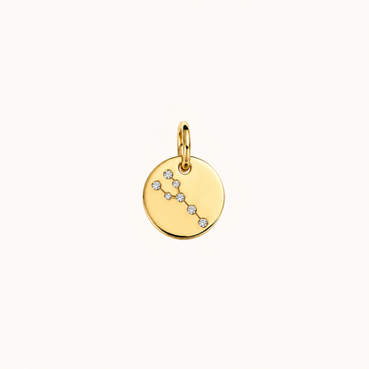ZODIAC STONE COIN BERLOCK