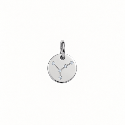 ZODIAC STONE COIN BERLOCK