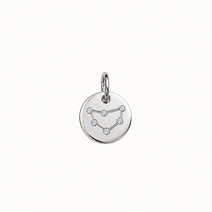 ZODIAC STONE COIN BERLOCK