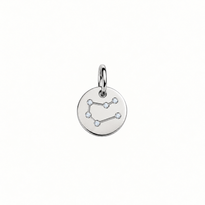 ZODIAC STONE COIN BERLOCK