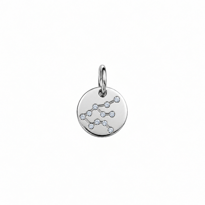 ZODIAC STONE COIN BERLOCK